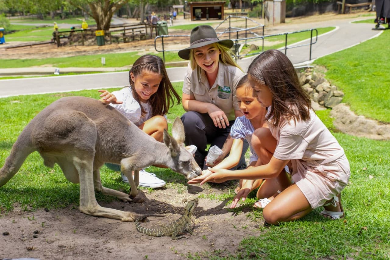 Билет в Currumbin Wildlife Sanctuary на Голд-Косте, главное фото