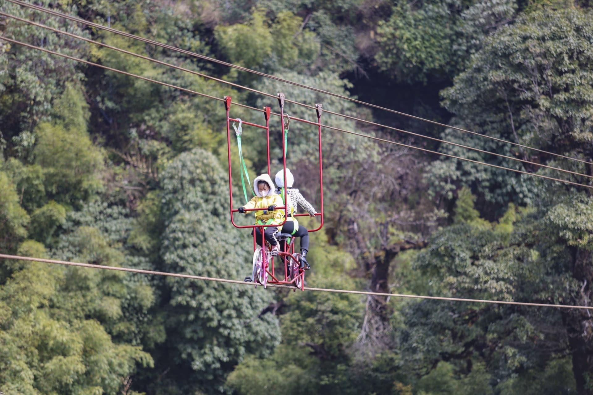 Rong May Glass Bottom Bridge Ticket in Sapa - image 5